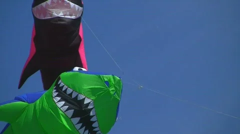 Kites in the wind Stock Footage 545688
