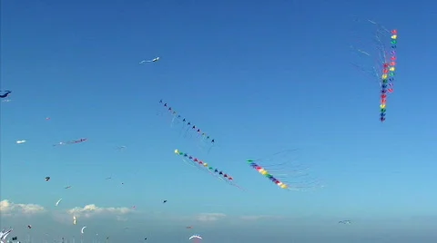 Kites1 Stock Footage 877005