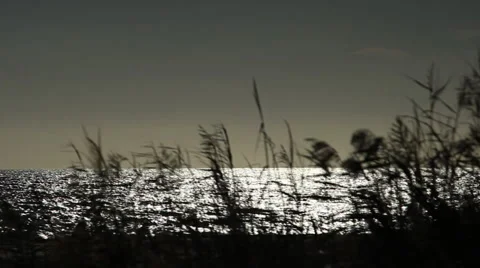 Kitesurf backlight Stock Footage 1007522