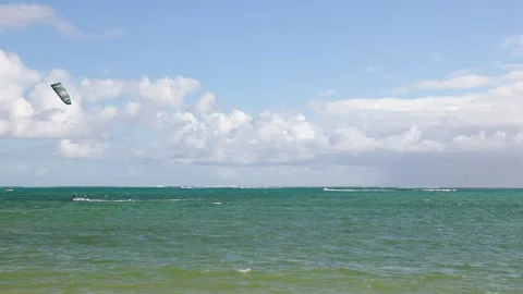 Kitesurfer riding the waves in the open ocean on a windy day. Stock Footage 313673478