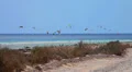 Kitesurfers en Fuerteventura HD Footage