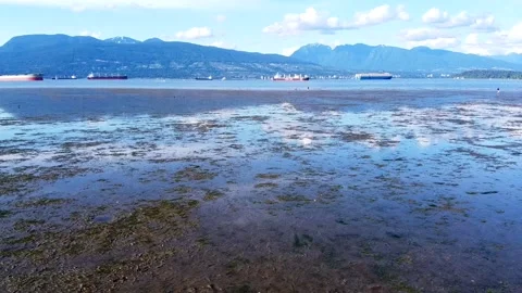 Kits Beach Mountains View low tide bird flying boat and ships Stock Footage 131411276