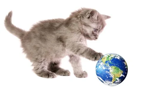 Kitten with ball Foto stock