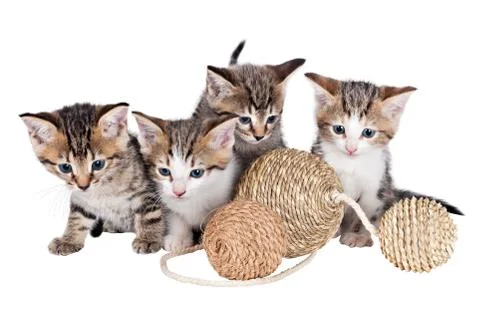 Kitten with balls Stock Photos