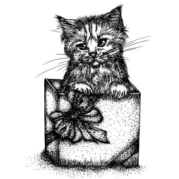 Kitten in box Stock Illustration