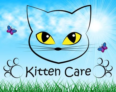  Kitten Care Indicating Look After And Felines Stockillustratie