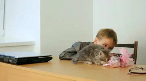 Kitten For Children Stock Footage 52520927