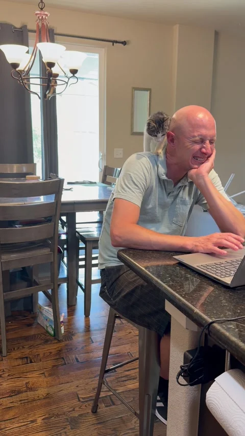 Kitten Decided My Husband Needed Some Help Working, Berthoud, Colorado, USA - 20 Stock Footage 346176947