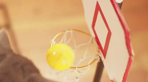 Kitten Dressed in a Jersey Slam Dunks a Miniature Basketball Stock Footage 51012243