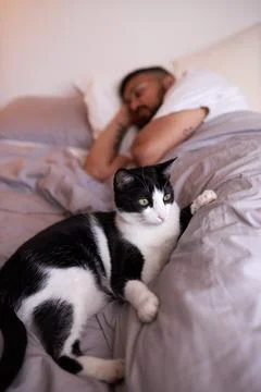 A kitten lies on the bed while its adult male owner sleeps in the background Stock Photos