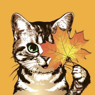 Kitten with maple leaf on orange background. Autumn vector illustration. Illustrazione stock