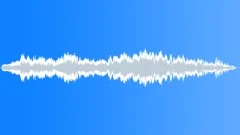 Kitten meow 12 Sound Effect