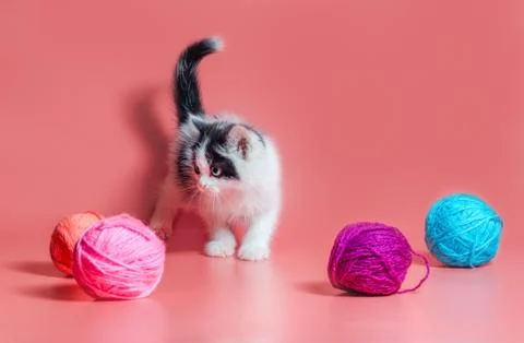 Kitten with multi-colored balls of woolen threads on a pink background Foto stock
