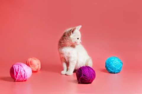 Kitten with multi-colored balls of woolen threads on a pink background Foto stock