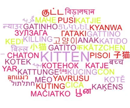 Kitten multilanguage wordcloud background concept Stock Illustration