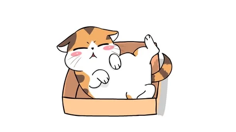 Kitten Nap in a Box - White Background for Simple Integration Stock Footage 282772322