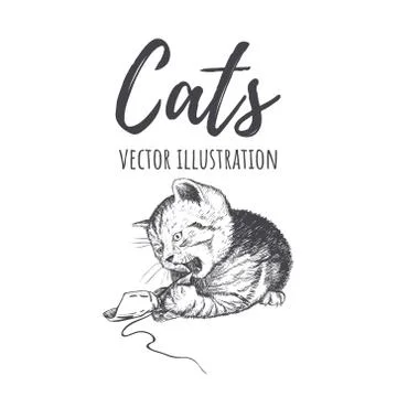 Kitten playing with a bow. Stock Illustration