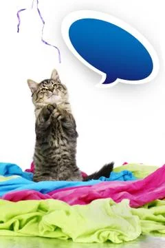 Kitten playing with string with speech bubble Illustrazione stock