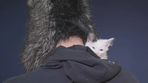 Kitten sits on the shoulder of a bearded man in a fur hat. Video stock 144600685