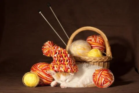 Kitten sleeping Stock Photos