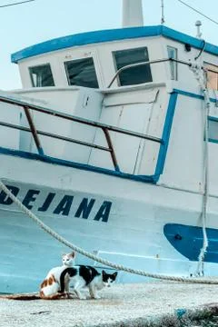 Kittens in the background of the ship Stock Photos