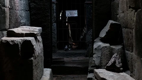 Kittens inside ancient temple 库存影片 90169104