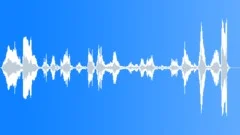 Kittens In Kennel Sound Effect