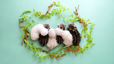 Kittens lie in a row. On a green background kittens lie among the twigs. Stock Footage 171193775