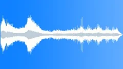 Kittiwake Distant Mass TakeOff Sound Effect