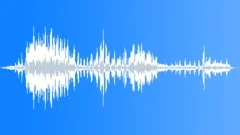Kittiwake Excited Calls MCUSound Effect