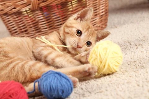 Kitty and wool balls Stock Photos