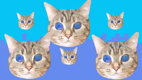 Kitty Cat Minimal Animation Pop Art Hypnotic Design Stock Footage 128652630