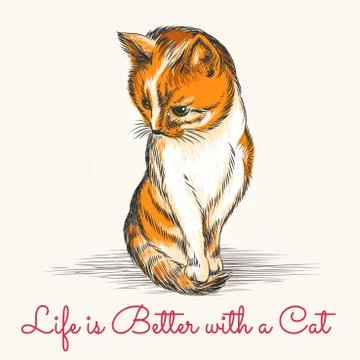 The Kitty Stock Illustration