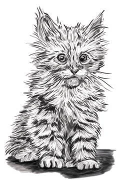 Kitty Stock Illustration