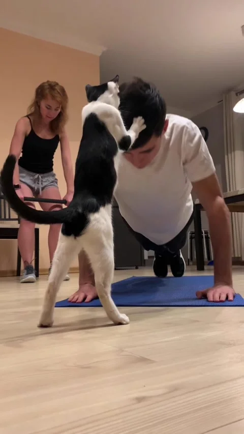 Kitty Interrupts Exercise Routine, Moscow, Russia - 07 Feb 2021 Stock Footage 205335184