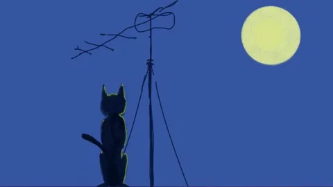 Kitty on the roof. Video stock 134975378