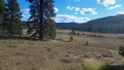 Kitty Spring, Lake County, Oregon 9-14-25 AC7  4K Stock Footage 318557006