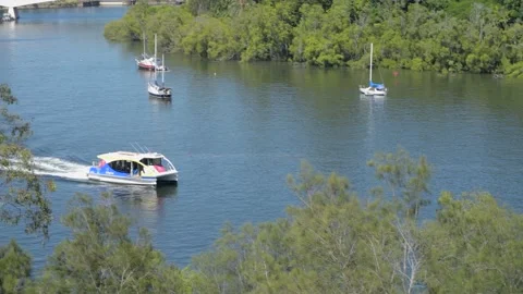 KittyCat ferry on Brisbane River, Captain Cook Bridge with traffic Stock-Footage 231085656