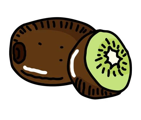 Kivi fruit Stock Illustration