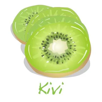 Kivi vector illustration Stock Illustration