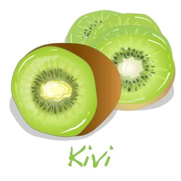 Kivi vector illustration Stock Illustration