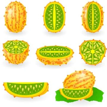 Kiwano Stock Illustration