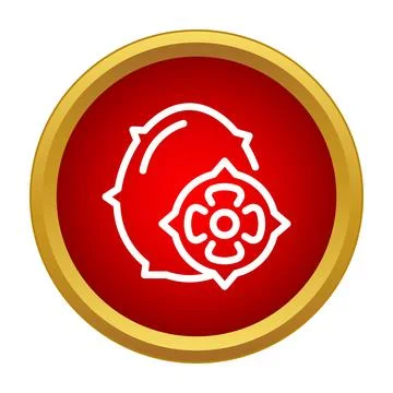 Kiwano melon exotic fruit icon on red button Stock Illustration