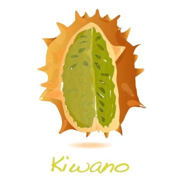 Kiwano melon vector Illustrazione stock
