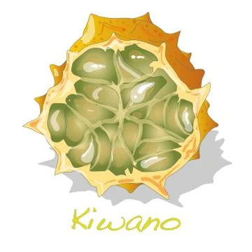Kiwano melon vector Stock Illustration