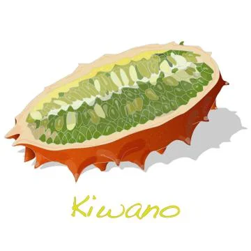 Kiwano melon vector Stock Illustration