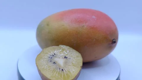 Kiwi and mango large light background 스톡 동영상 325124529