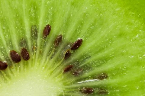 Kiwi as background. macro Stock Photos