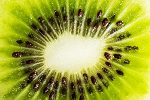 Kiwi as background. Macro Stock Photos