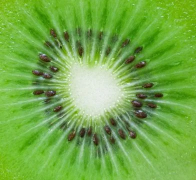 Kiwi background Stock Photos